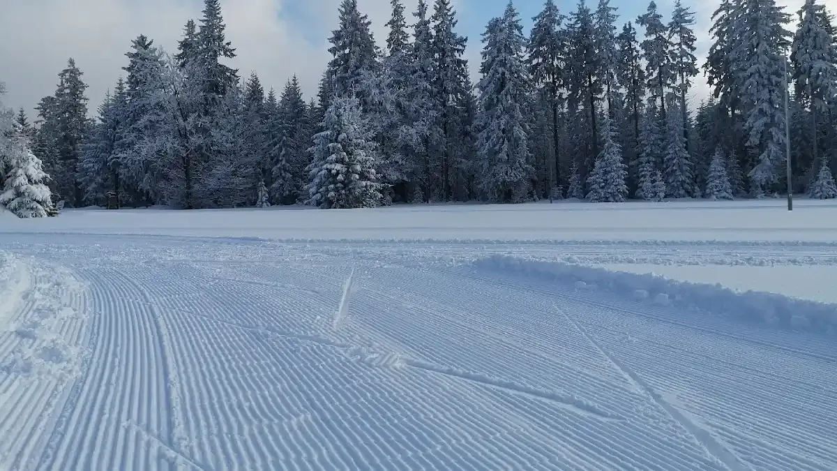 Stacja Spalona: Mekka narciarstwa biegowego w Sudetach