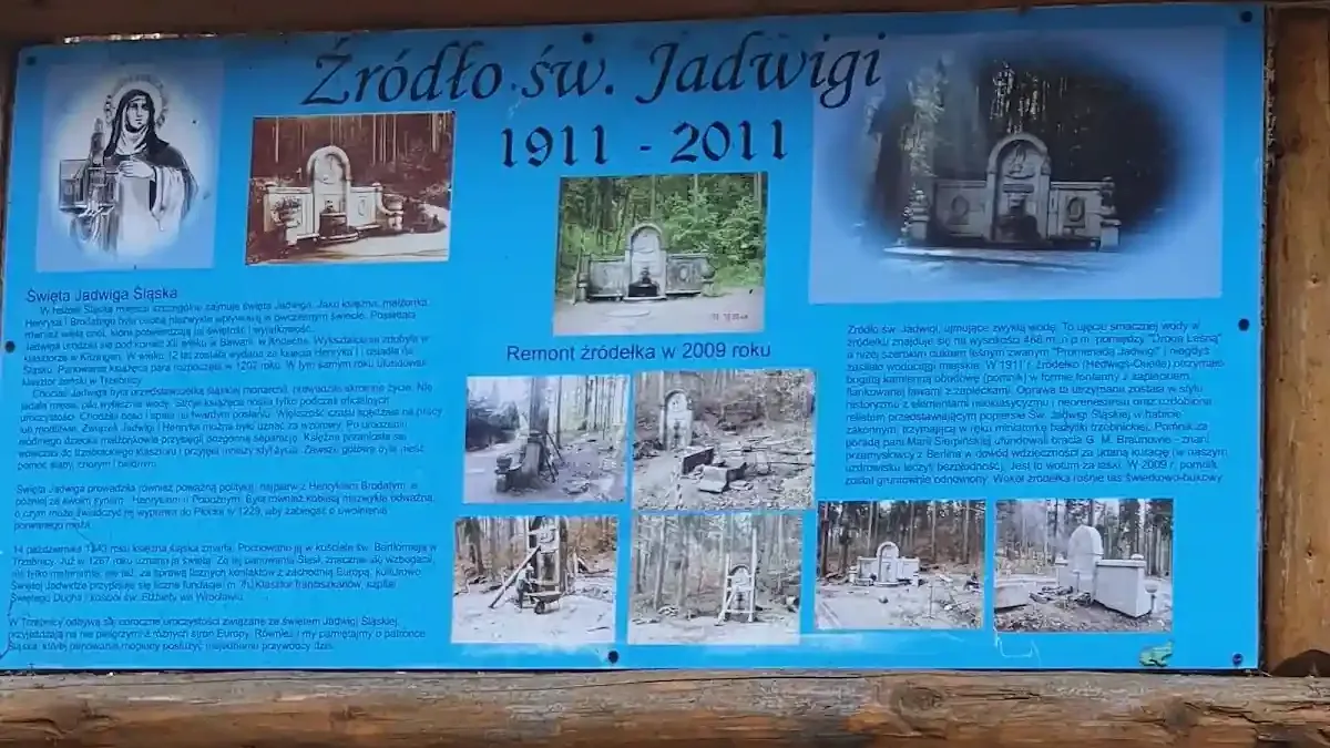 Źródło św. Jadwigi w Polanicy-Zdroju: Uzdrowiskowa moc w leśnym zaciszu