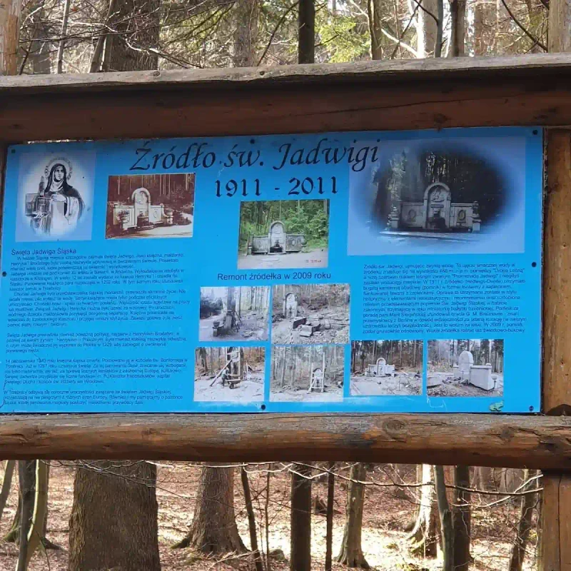 Źródło św. Jadwigi w Polanicy-Zdroju: Uzdrowiskowa moc w leśnym zaciszu