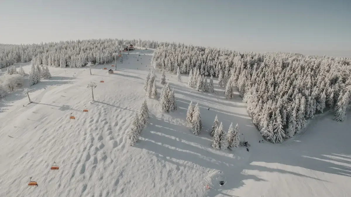 Winterpol Zieleniec: Ogrzewane kanapy, błękitne osłony i magia 'spacerowej' trasy