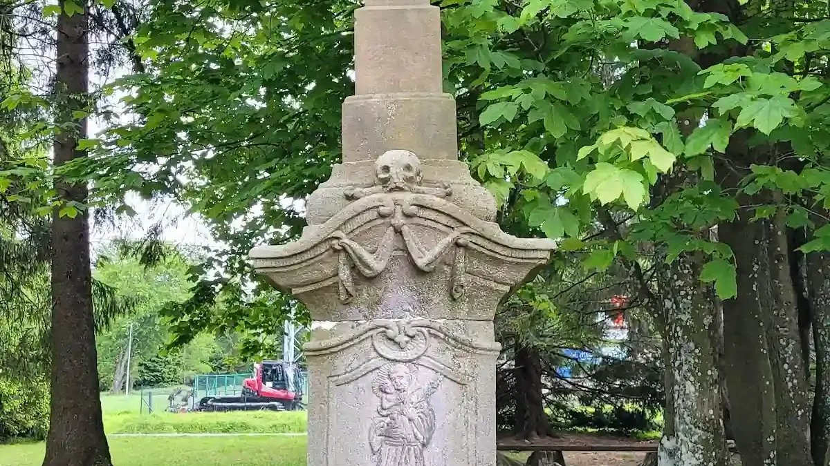 Schronisko Jagodna: Smak przygody i jagodowe marzenia na Przełęczy Spalona