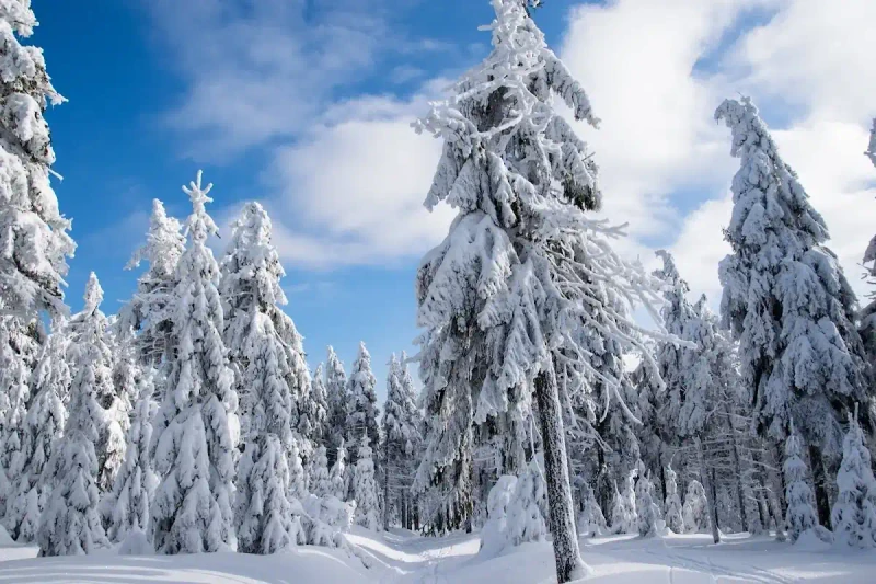 Przełęcz Jugowska: Zimowe serce Gór Sowich bije tutaj najmocniej
