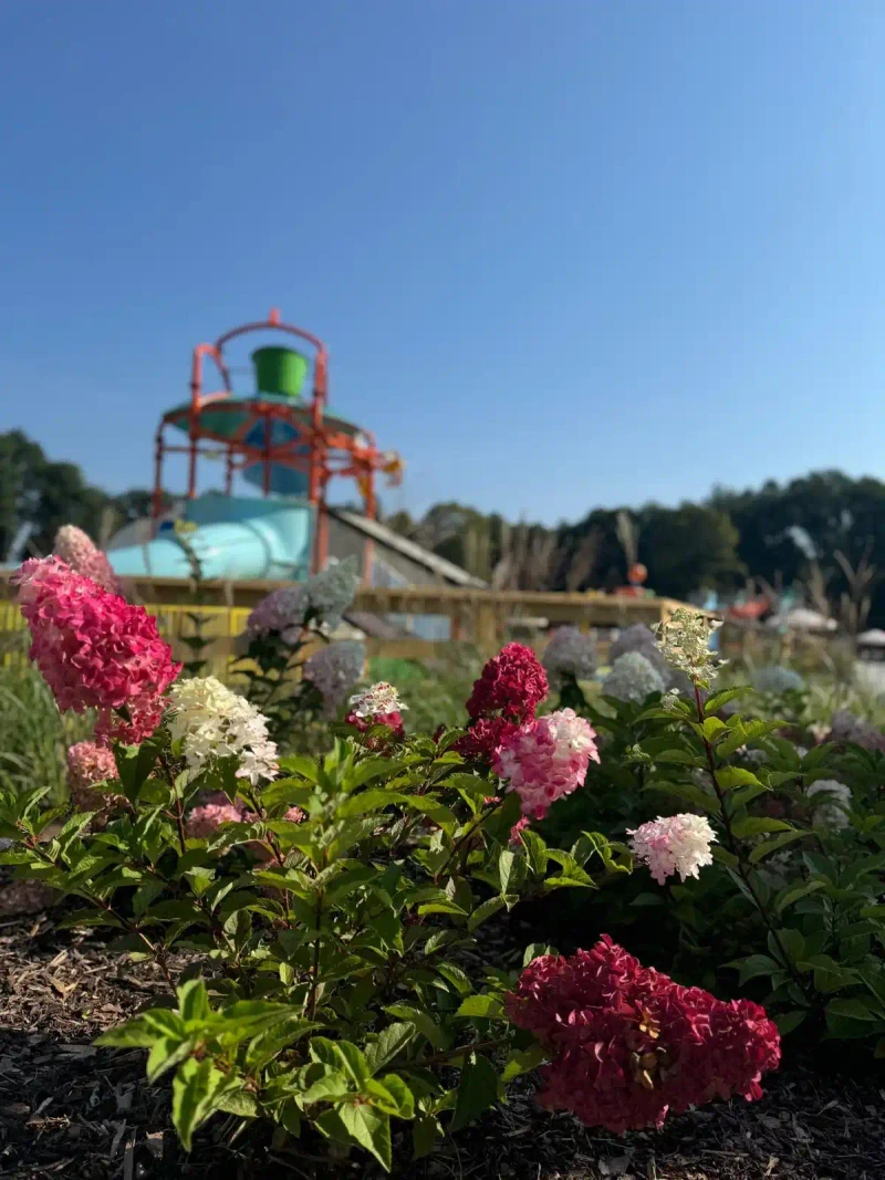 Park Wodny w Polanicy-Zdroju: Tropikalny relaks w środku zimy