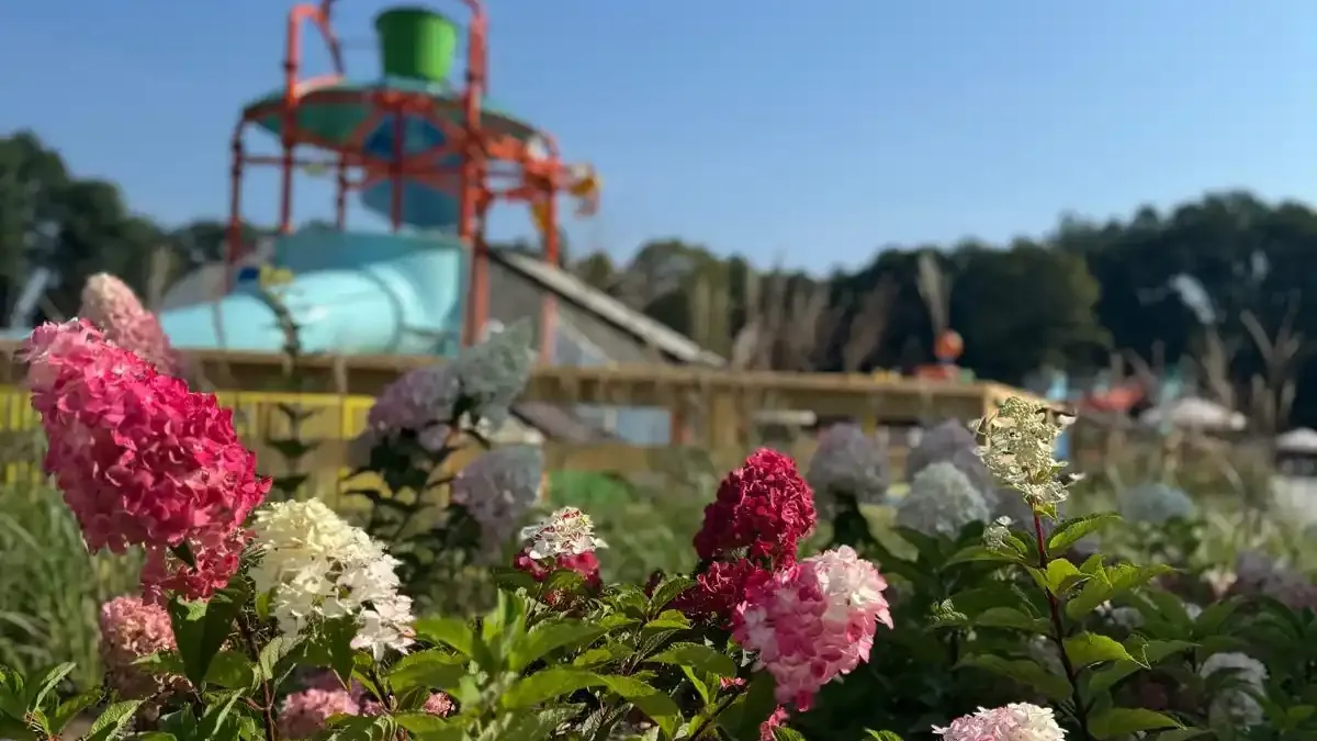 Park Wodny w Polanicy-Zdroju: Tropikalny relaks w środku zimy