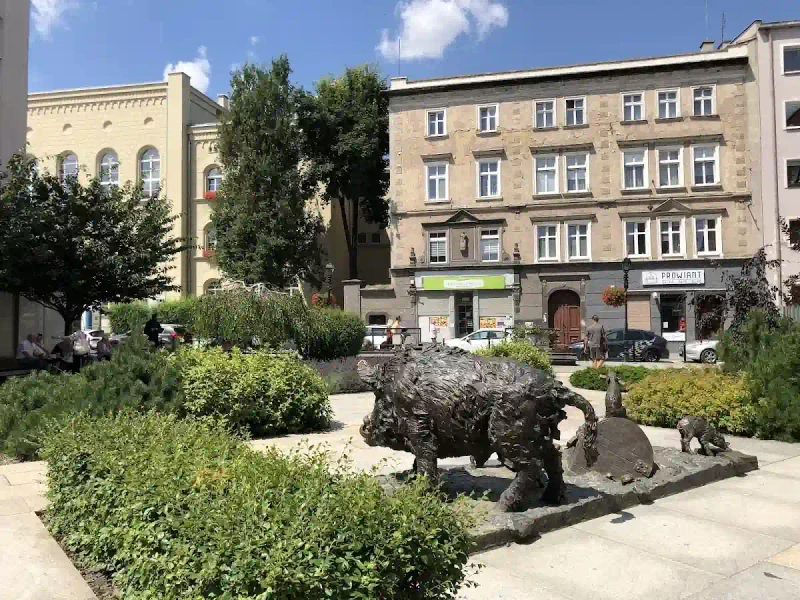 Dziki Świdnickie: Sztuka uliczna, która żyje w mieście