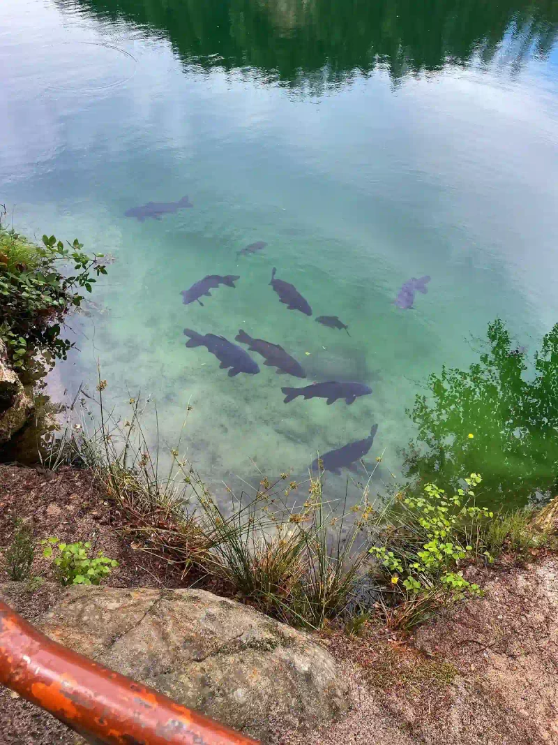 Platforma widokowa w Adršpach: Zimowa panorama Skalnego Miasta