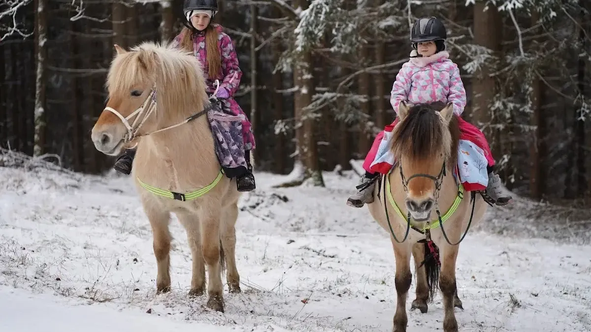 Zagroda Studzienno: Zimą wśród zwierząt
