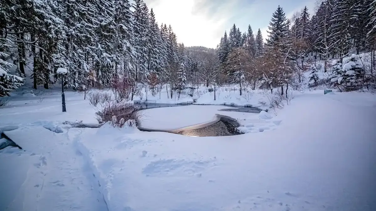 Jelenia Struga Medical SPA: Uzdrowiskowa moc radonu w sercu Karkonoszy
