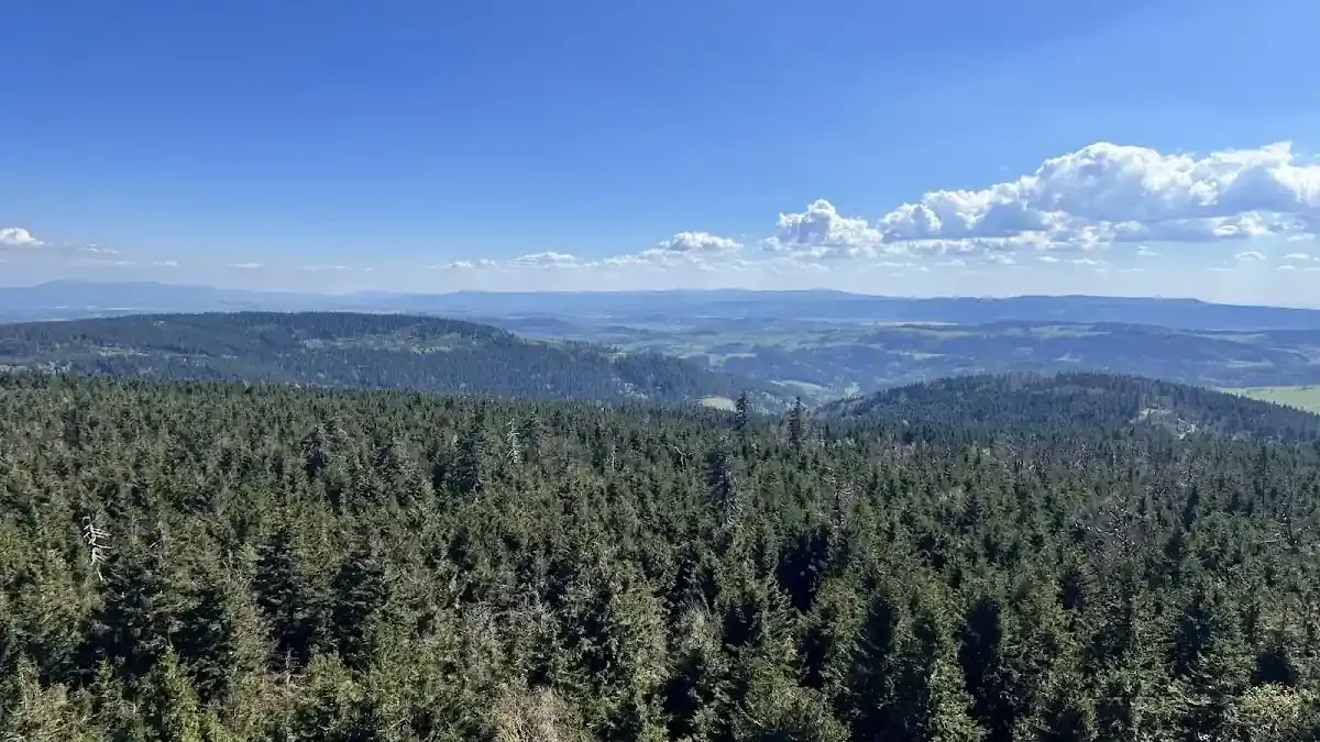 Góry Sowie zimą: Gnejsowe kolosy i legendy najstarszych gór w Polsce