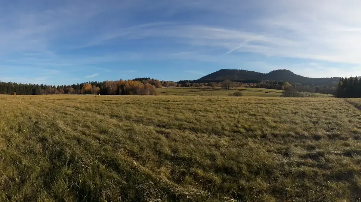 Las Bjedec: Wilki, widoki i... kuguary? Dzika strona Gór Stołowych