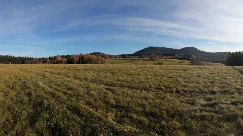 Las Bjedec: Wilki, widoki i... kuguary? Dzika strona Gór Stołowych