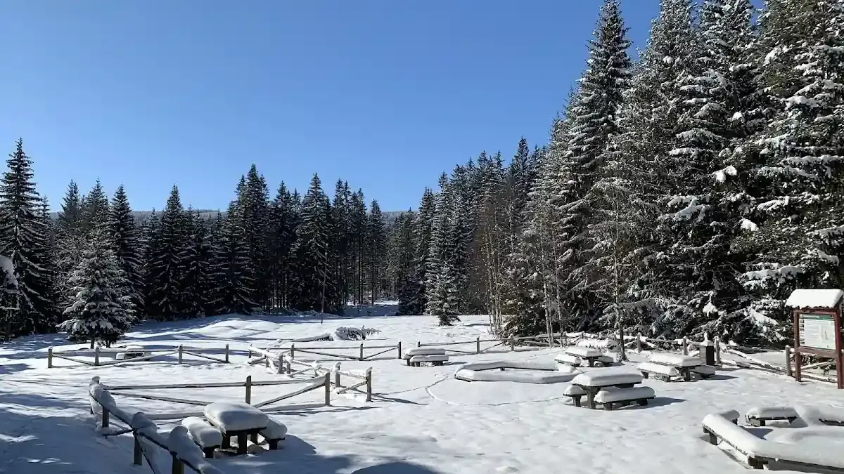 Zimowe ognisko: Gdzie legalnie piec kiełbaski?