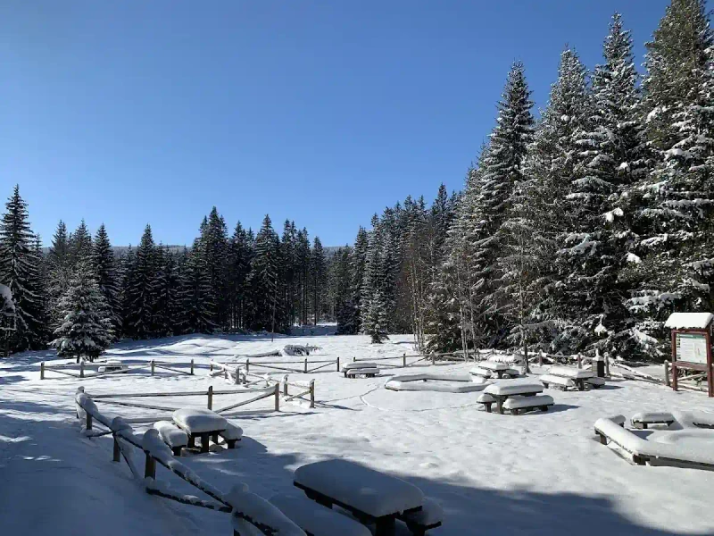 Zimowe ognisko: Gdzie legalnie piec kiełbaski?