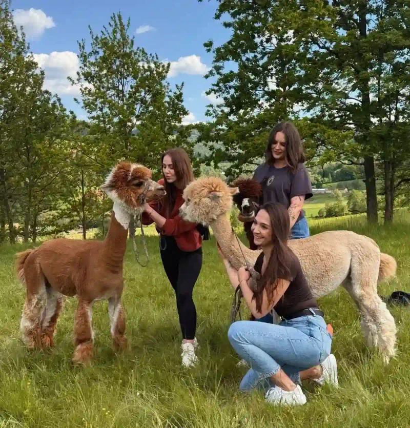 Magia bliskich spotkań: Kraina Lemurów i Agroturystyka Alpaka Konradów