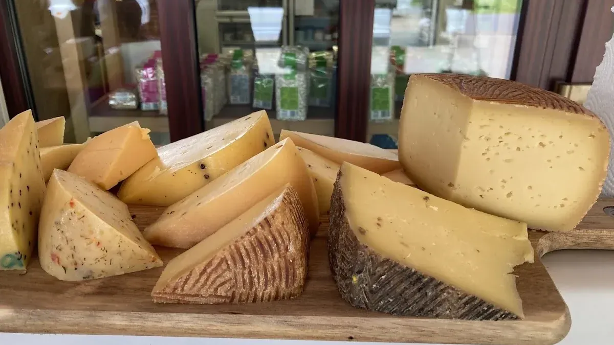 Wańczykówka: Ekologiczne sery i agroturystyka z pasją