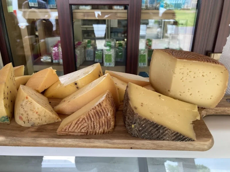 Wańczykówka: Ekologiczne sery i agroturystyka z pasją