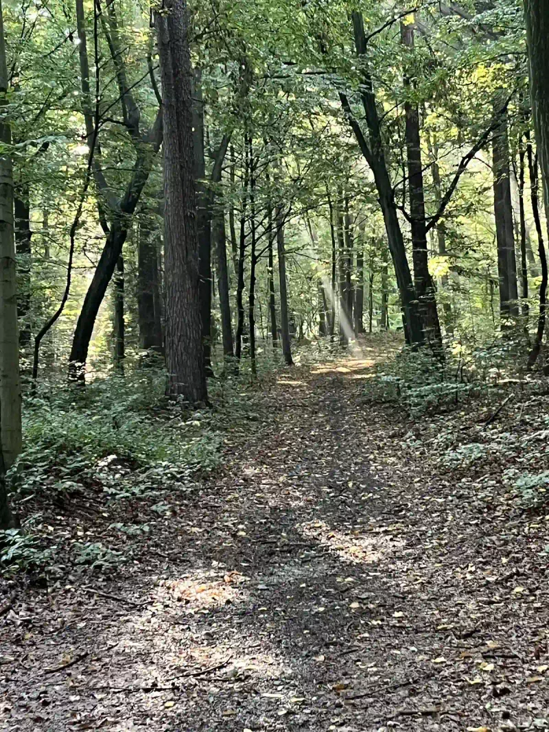 Park Pałacowy w Kamieńcu Ząbkowickim: Perła Marianny Orańskiej w zimowej bieli