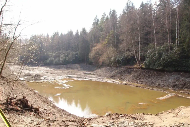 Staw Poleśnicki: Zimowy spacer i morsowanie w naturze