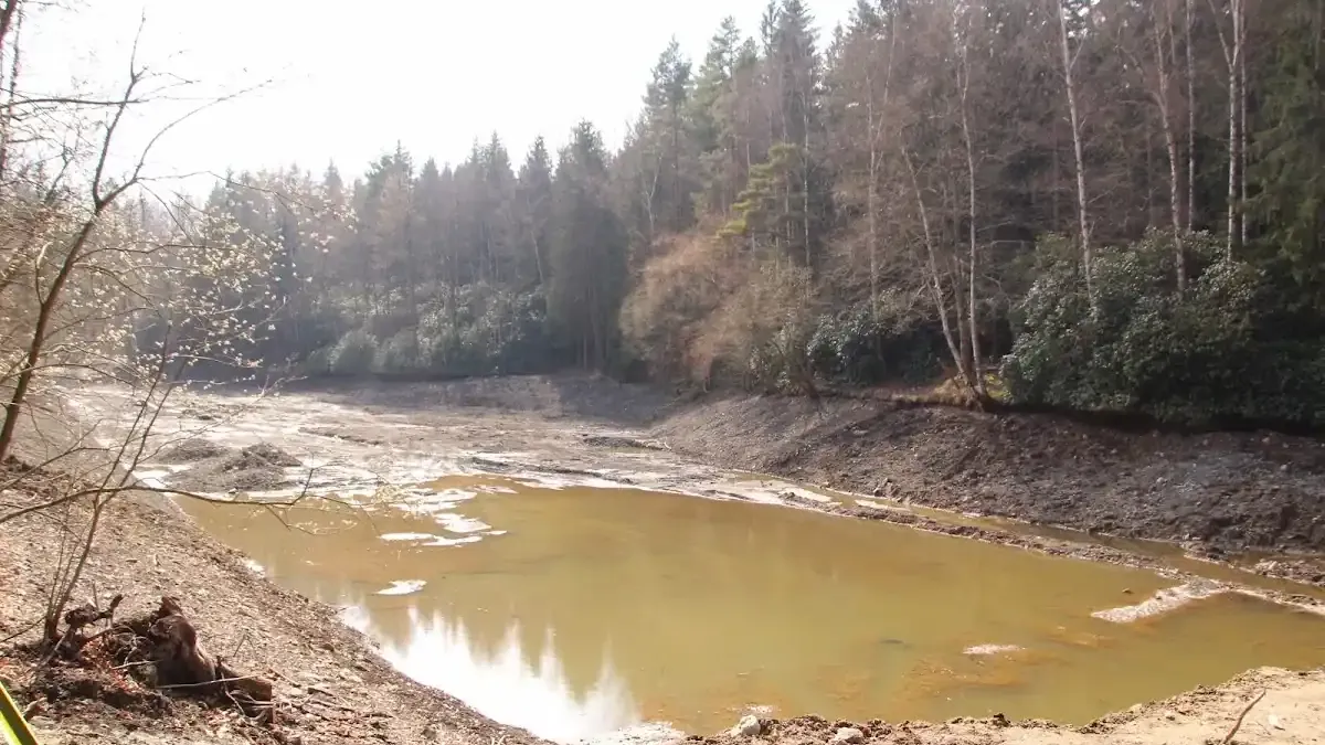 Staw Poleśnicki: Zimowy spacer i morsowanie w naturze