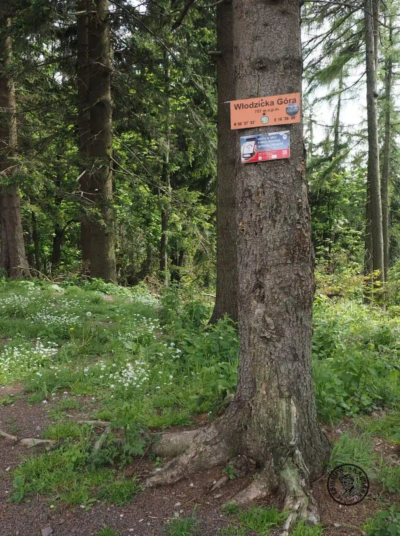 Włodzicka Góra zimą: Czerwony piaskowiec i panoramy Nowej Rudy