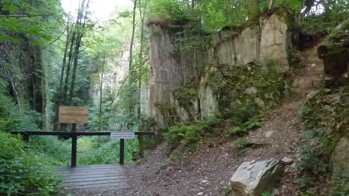 Dlaczego warto odwiedzić Albeřická jeskyně właśnie teraz?