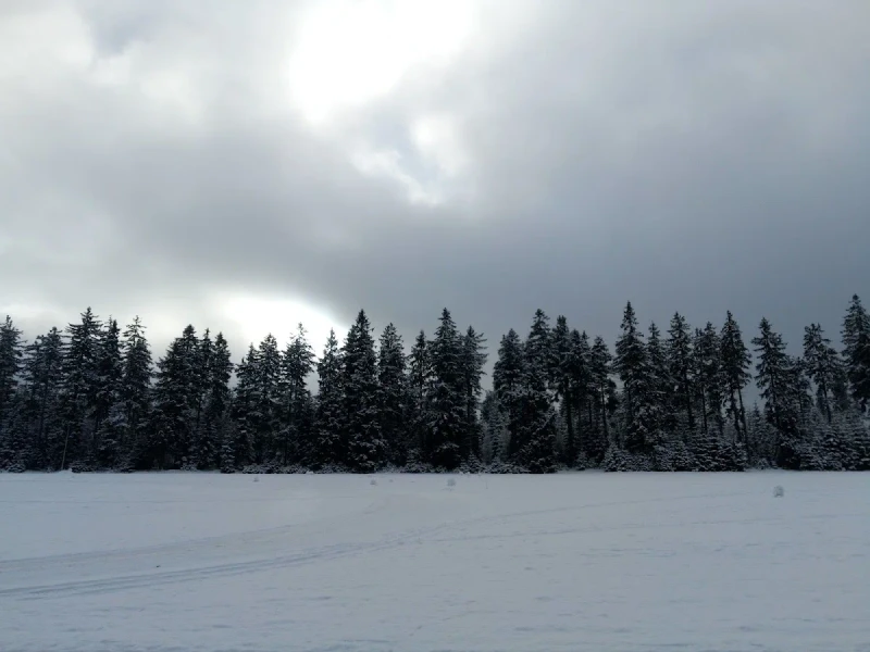 Stacja Spalona: Mekka narciarstwa biegowego w sercu Gór Bystrzyckich