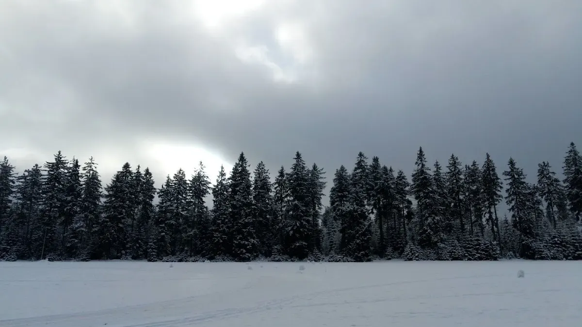 Stacja Spalona: Mekka narciarstwa biegowego w sercu Gór Bystrzyckich