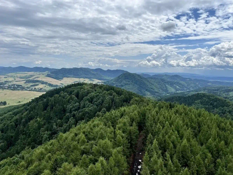 Góra Dzikowiec: Widoki, narty i zimowa adrenalina