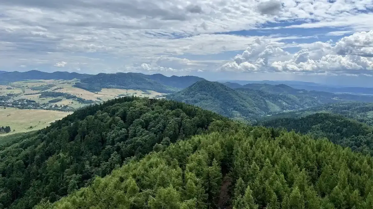 Góra Dzikowiec: Widoki, narty i zimowa adrenalina
