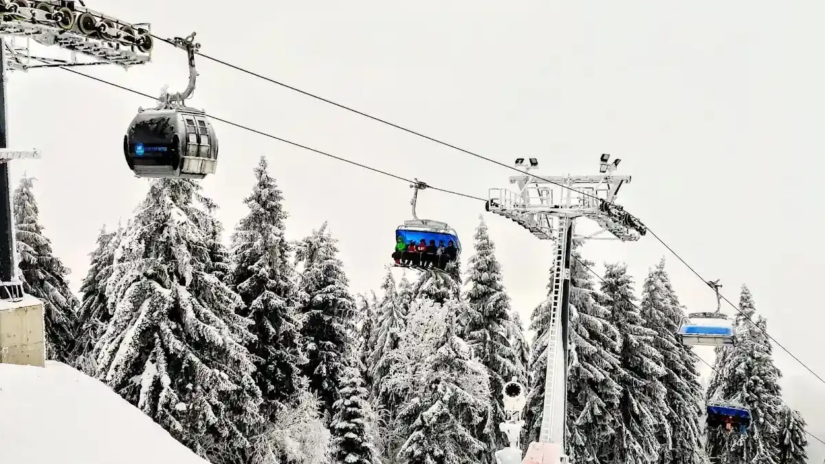 Nartorama Skyway Express: Między szybkością kanapy a wyzwaniami logistyki