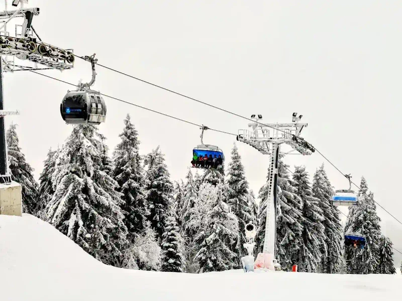 Nartorama Skyway Express: Między szybkością kanapy a wyzwaniami logistyki