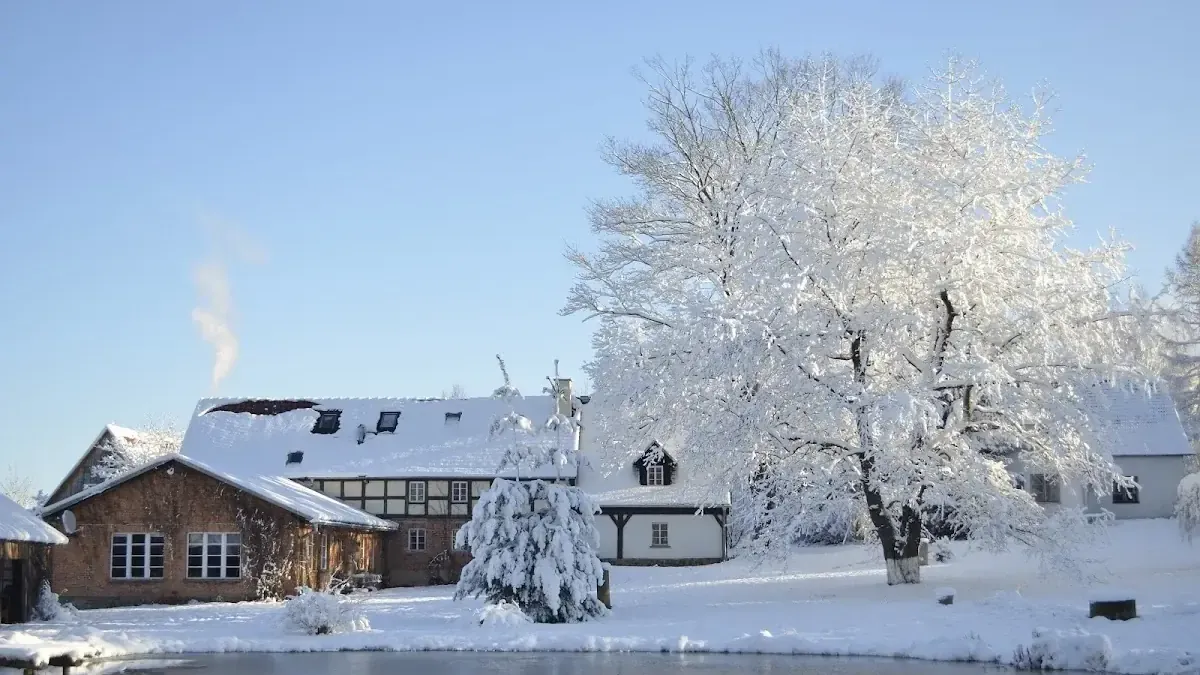 Agro-Pustelnik: Cisza, która leczy