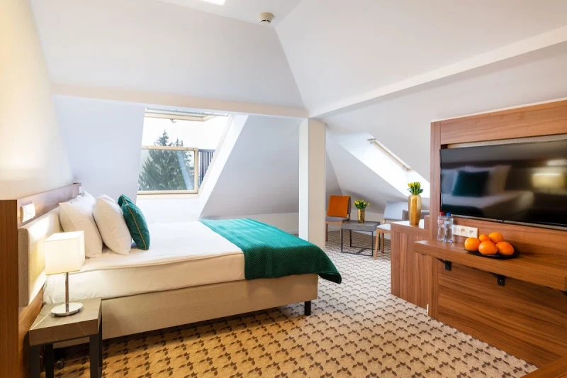 Dlaczego warto odwiedzić Hotel Verde Montana Wellness & Spa właśnie teraz?