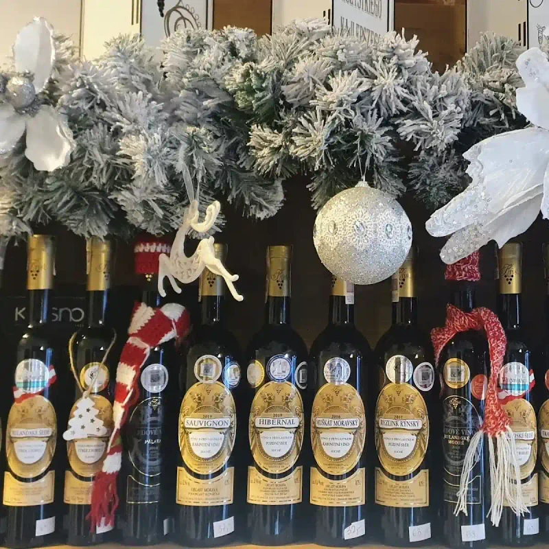 WINO I SER: Kulinarna ambasada smaku w Kłodzku