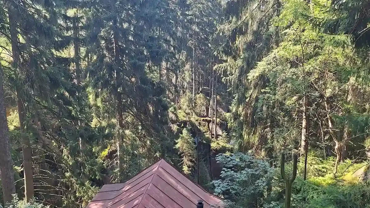 Suchodolska Niagara: Zimowy cud natury