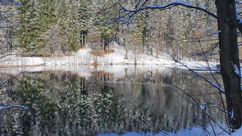 Chalupy Bret w Prkenný Důl: Czeski przepis na rodzinne narty
