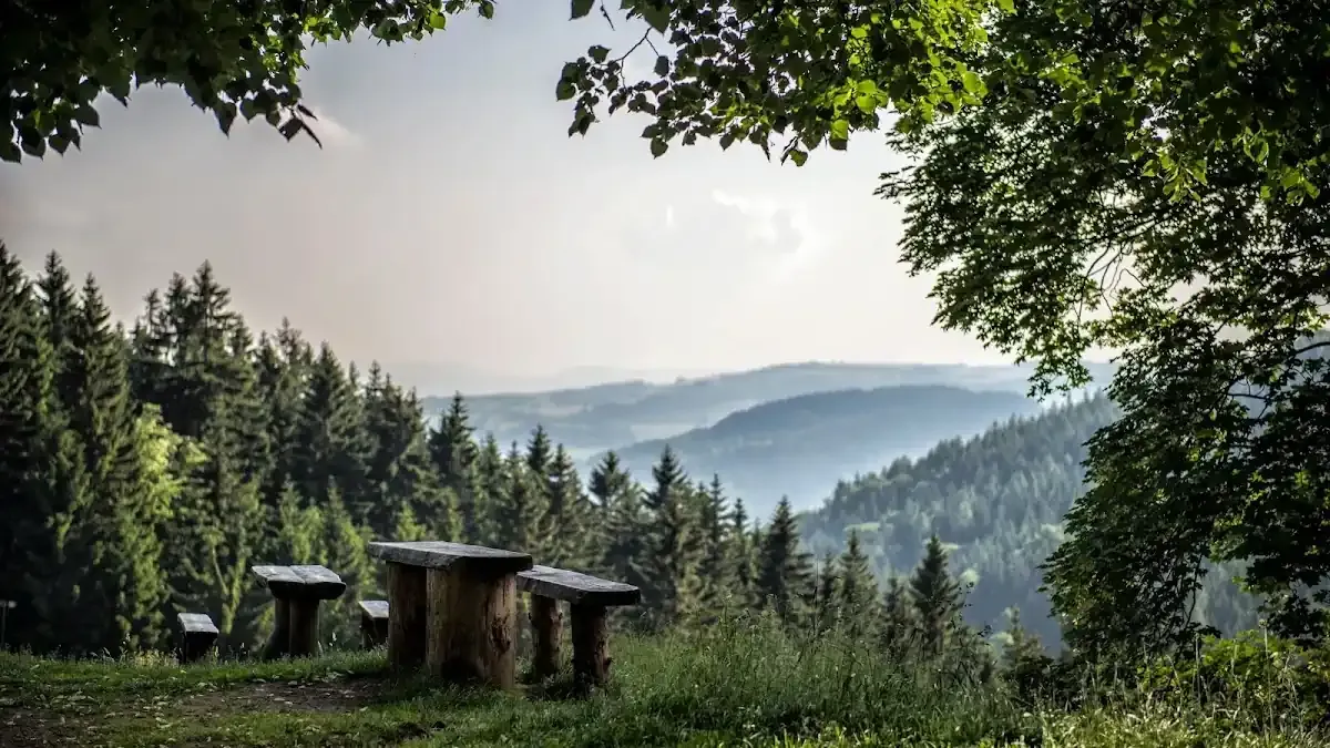 Schronisko Zygmuntówka: Najpiękniejszy taras Gór Sowich w zimowej odsłonie