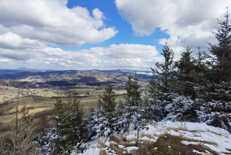 Nowoczesny azyl w sercu Gór Sowich: Sovanova – domki z widokiem na konie