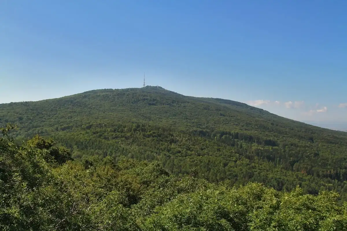 Wieża RTV na szczycie Ślęży w kontraście z zimowym lasem.