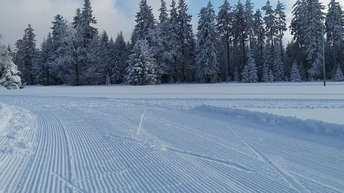 Perfekcyjnie przygotowany ślad na trasie biegowej w Spalonej.