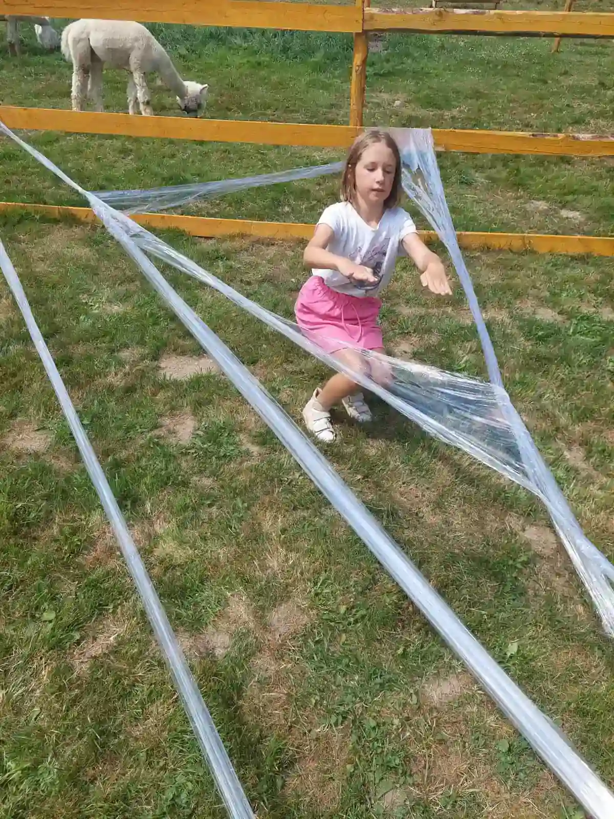 Radość dziecka podczas karmienia zwierząt w Konradowie.