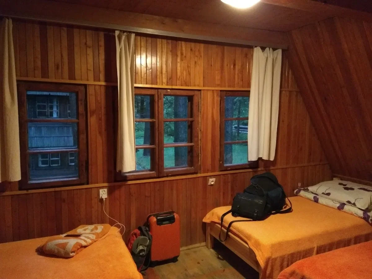 Mały domek z drewna otoczony ośnieżonymi drzewami.