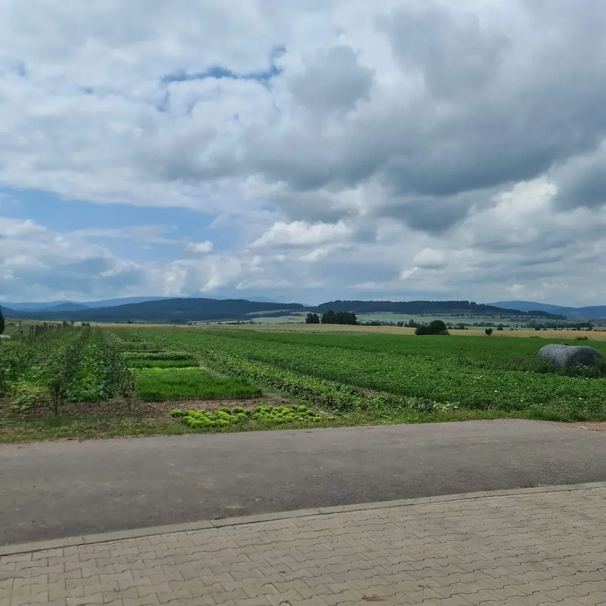 Zima w gospodarstwie.