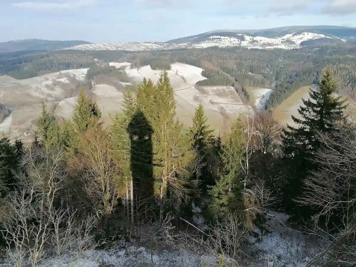 Detale szlaku leśnego w stronę Włodzickiej Góry pod śniegiem.