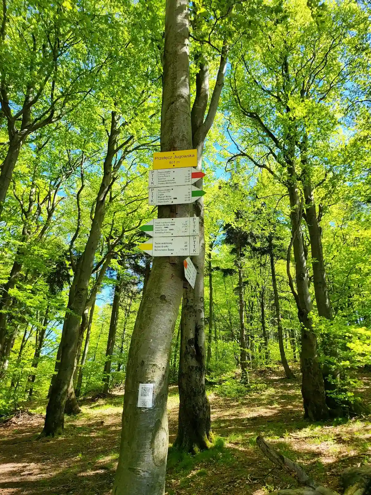 Zimowy widok na stok.