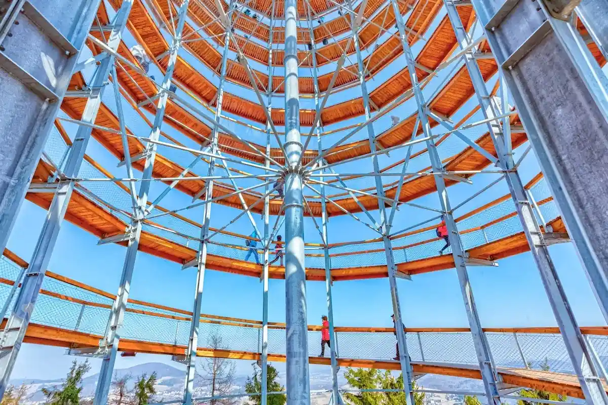 Kładka spacerowa na Dzikowcu.