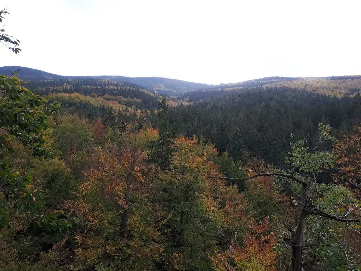 Widok na nastrojową, zalesioną dolinę pod jesiennym, błękitnym niebem.