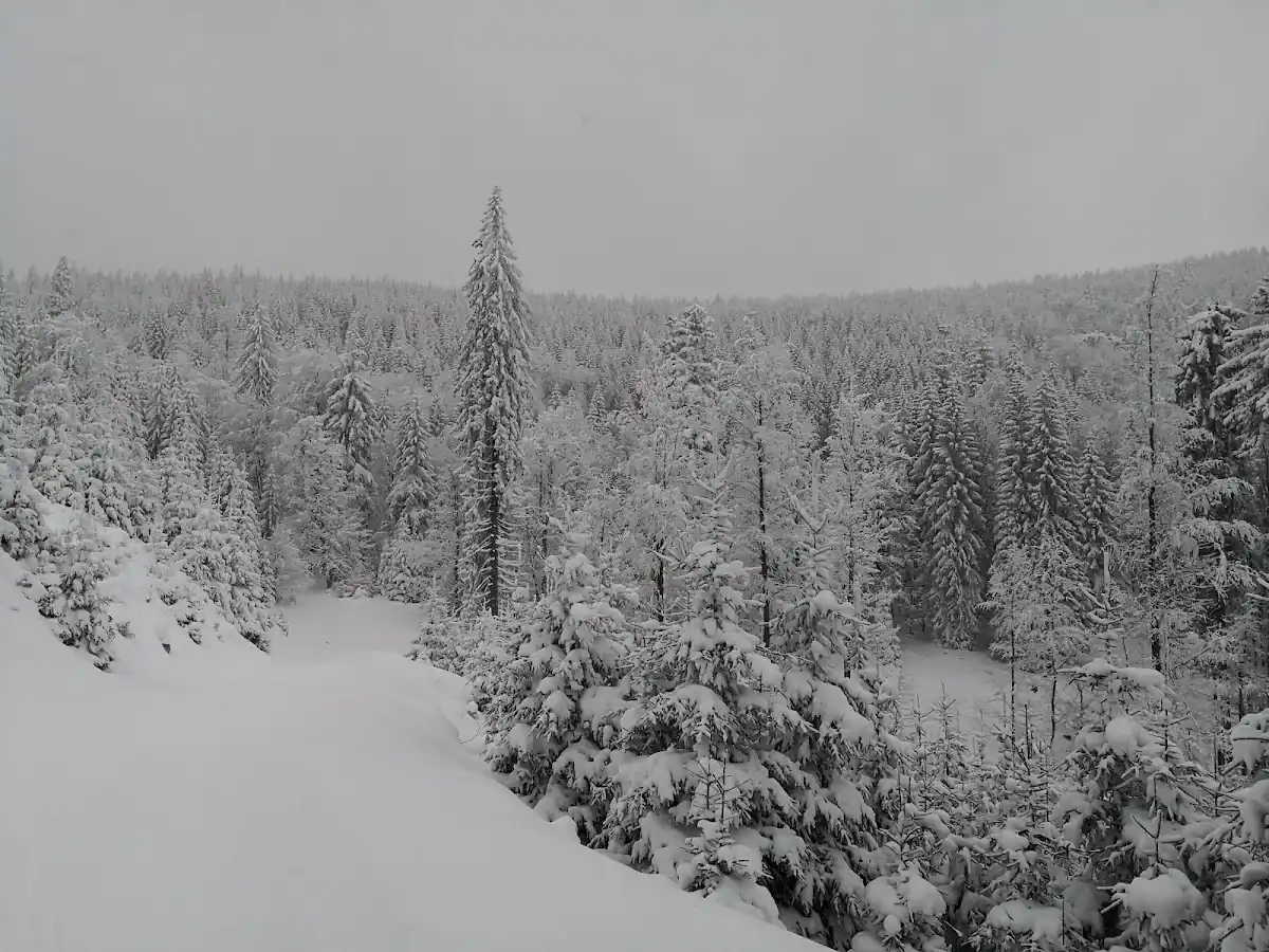 Mały, nastrojowy domek w Bielicach zasypany śniegiem pod błękitnym niebem.