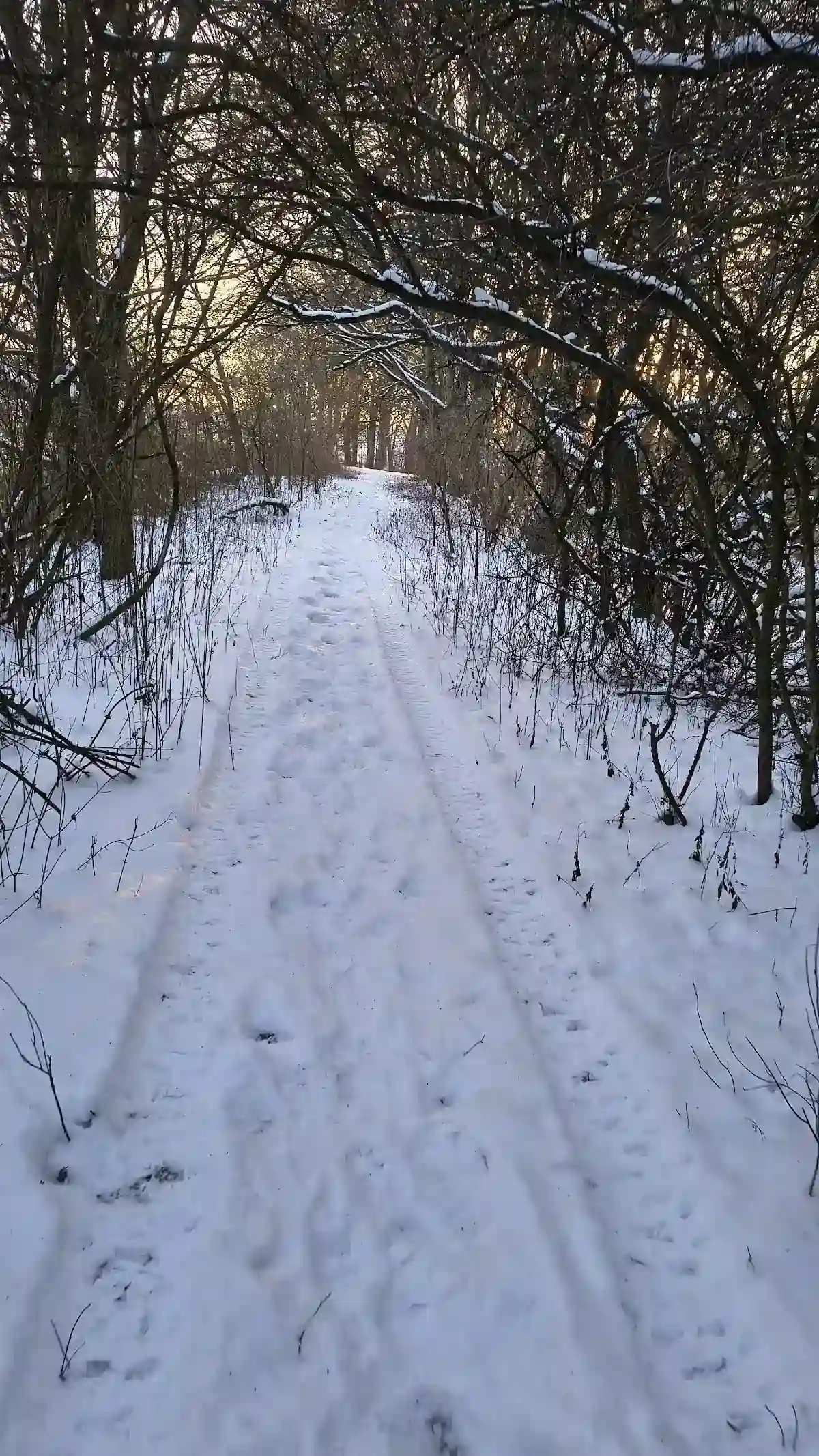 Zamarznięty staw w Řemínku o zachodzie słońca.