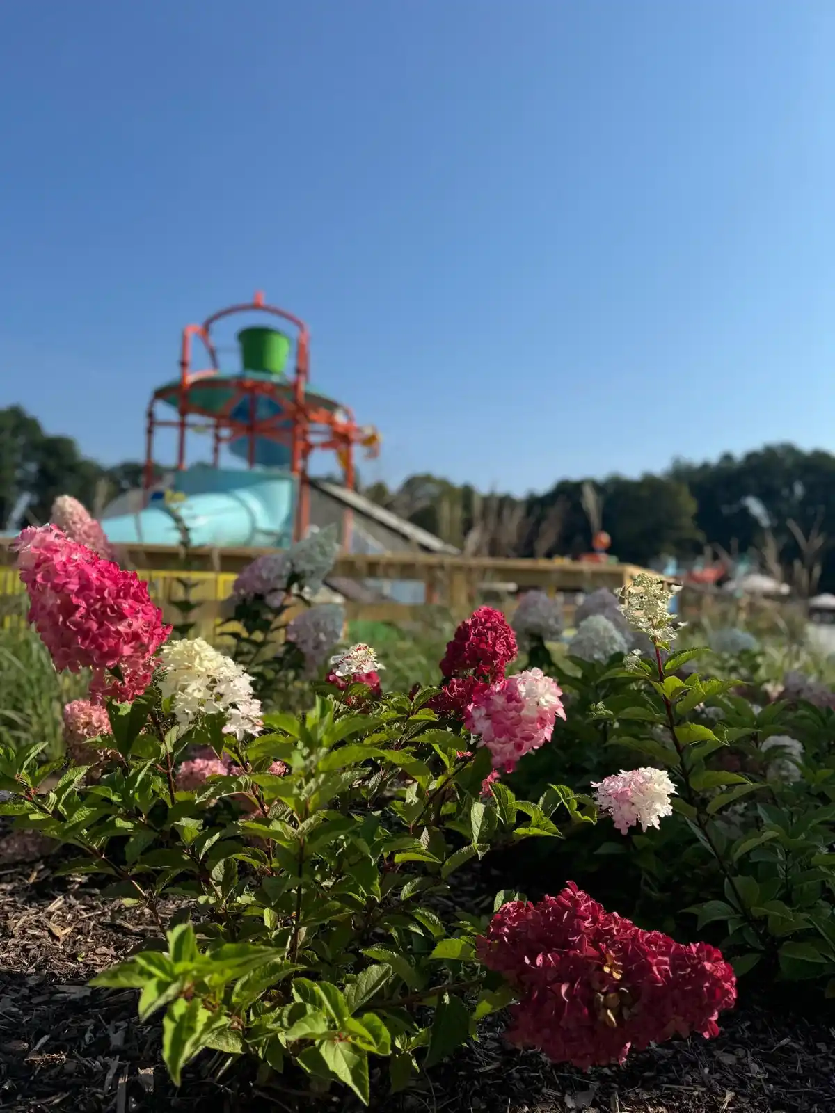 Parking ośnieżony o poranku.